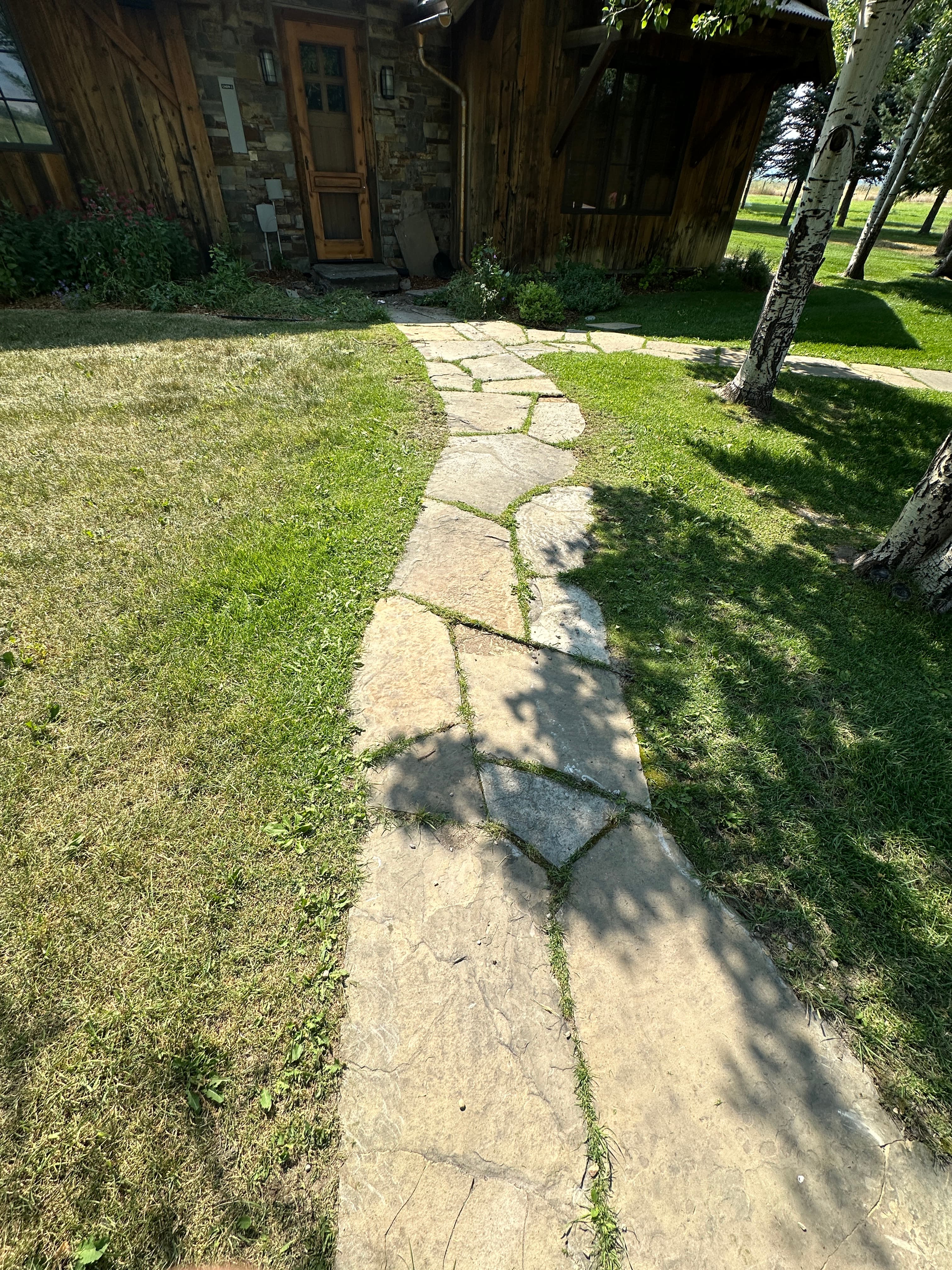 Flagstone walkway through lawn